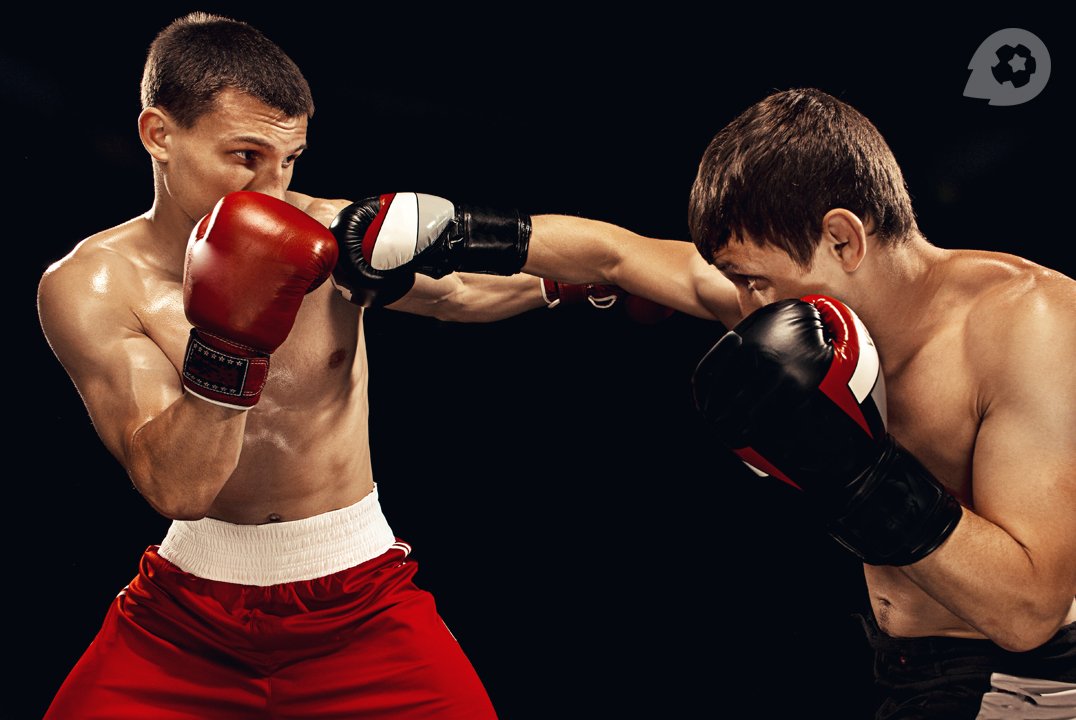 Ставки бокс и бои российские биржи ставок на спорт