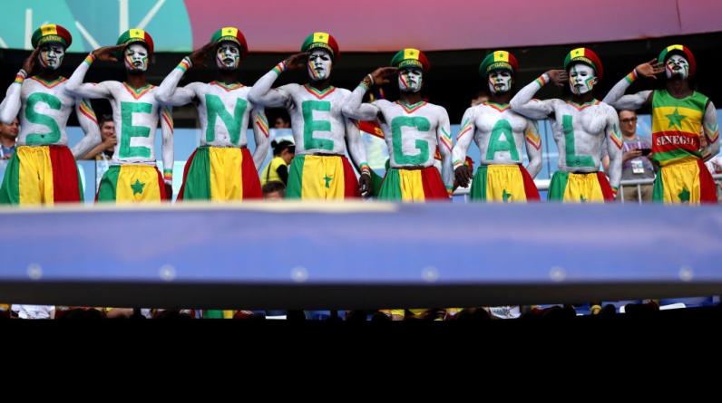 Алжир и Египет уже успели оступиться. Как изменились котировки на победителя Кубка Африки?